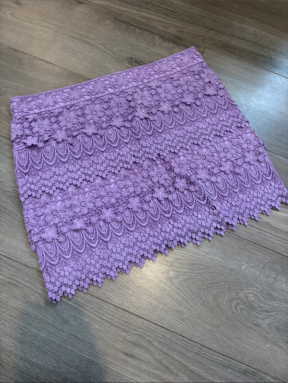 American Eagle Outfitters Lavender Lace Mini Skirt
